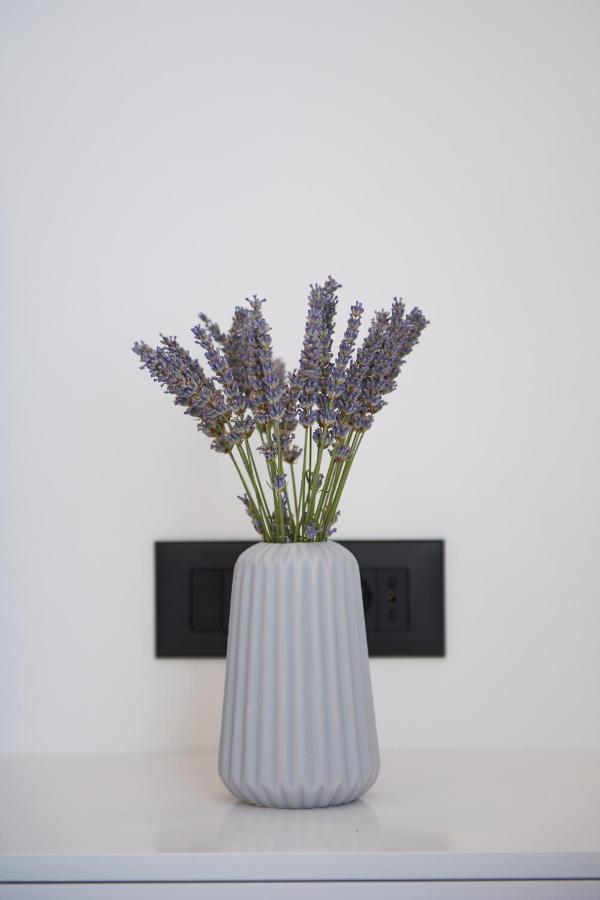Apartment Elli トロギール エクステリア 写真